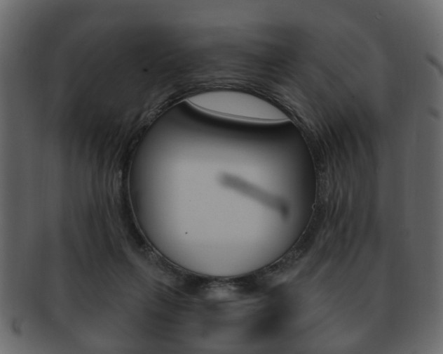 X0000093210263200709261431