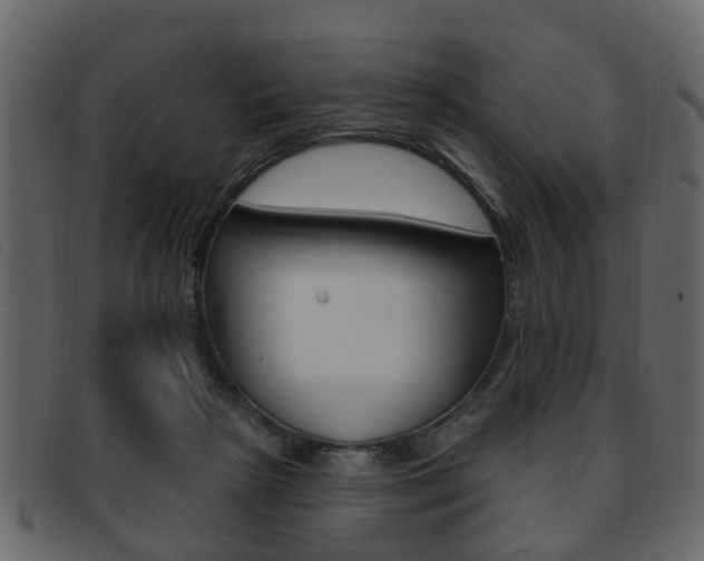X0000093210265200709261431
