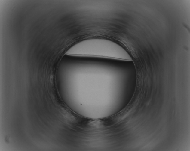 X0000093210269200709261431