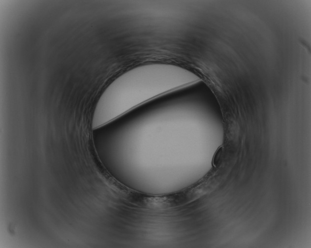 X0000093210273200709261431