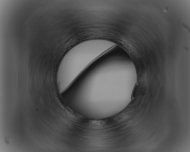 X0000093210277200709261431