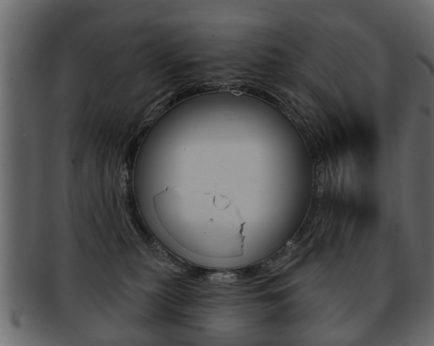 X0000093210279200709261431