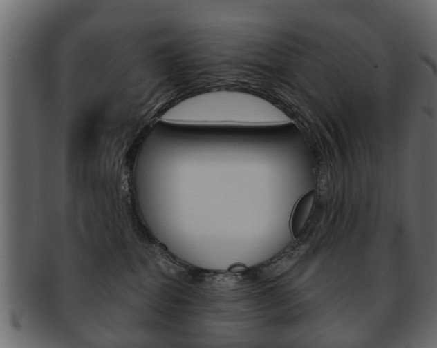 X0000093210282200709261431
