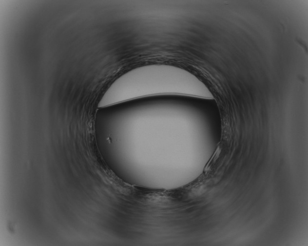 X0000093210284200709261431