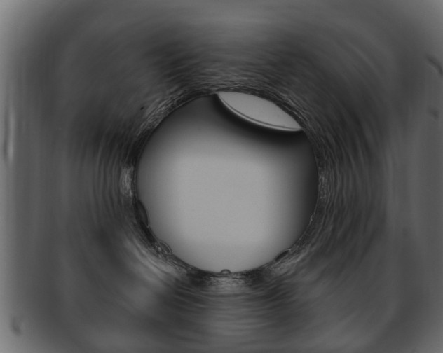 X0000093210286200709261431