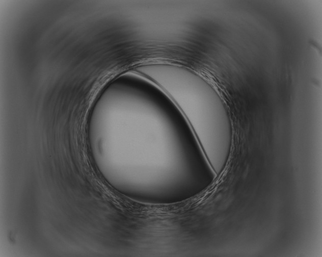 X0000093210289200709261431