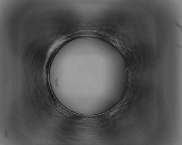 X0000093210294200709261431