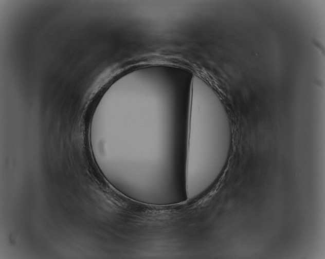 X0000093210295200709261431