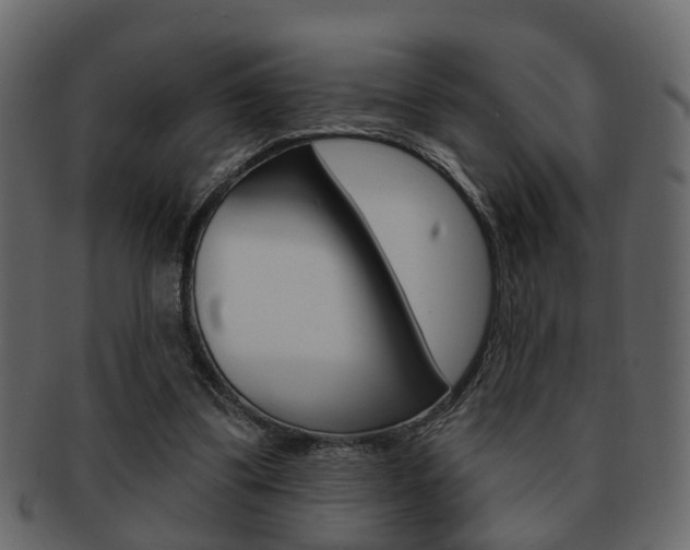 X0000093210299200709261431