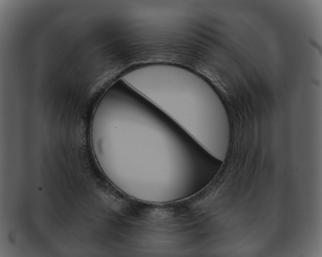 X0000093210303200709261431