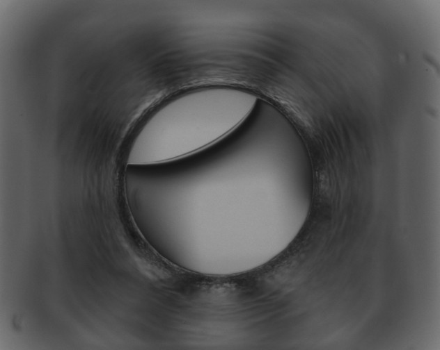 X0000093210304200709261431