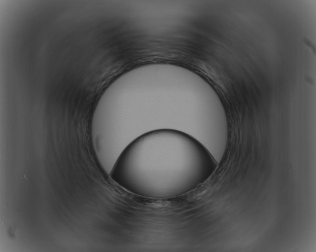 X0000093210317200709261430