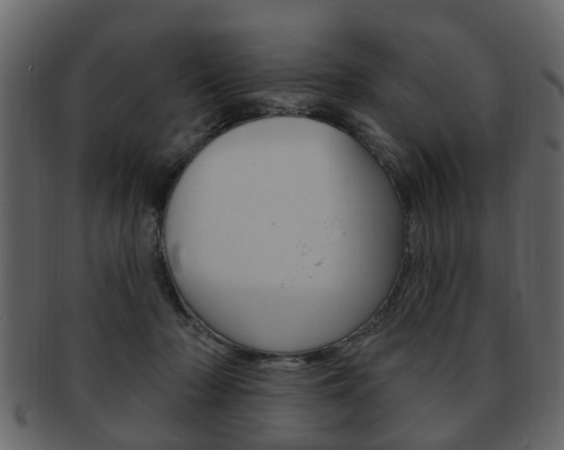 X0000093210318200709261430