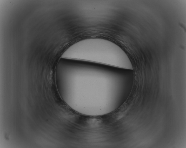 X0000093210319200709261430