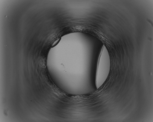 X0000093210331200709261430