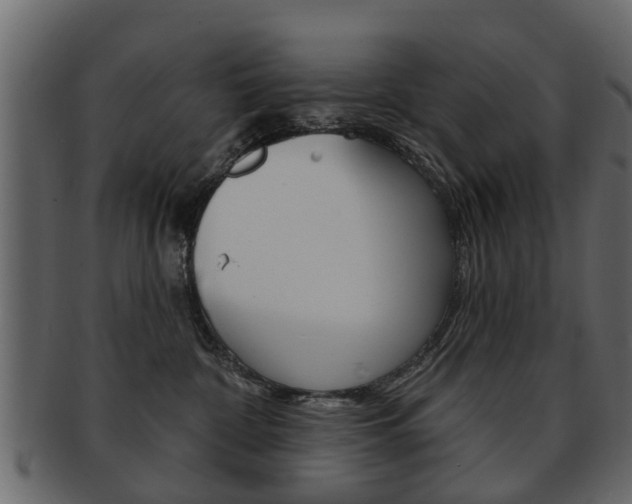 X0000093210332200709261430