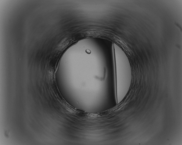 X0000093210333200709261430