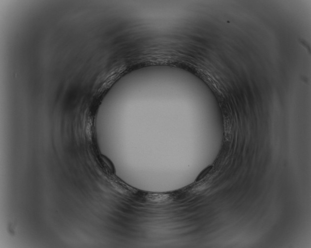 X0000093210334200709261430