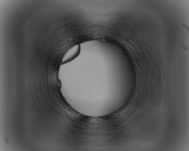 X0000093210336200709261430