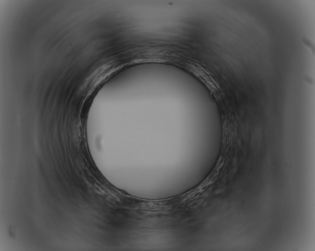 X0000093210338200709261429