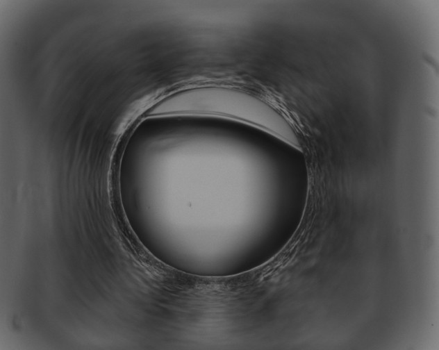 X0000093210340200709261429