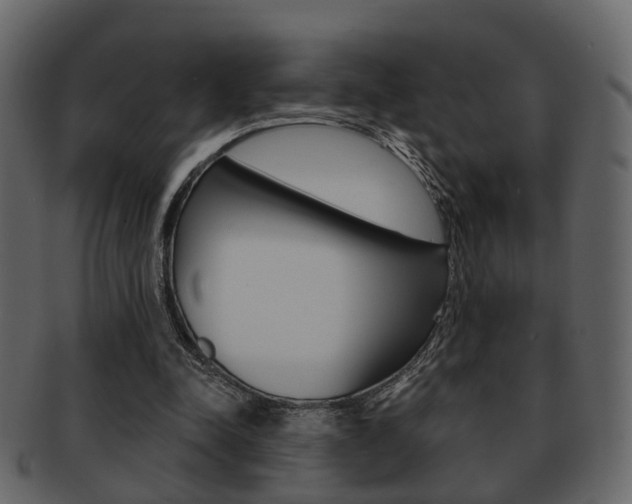 X0000093210342200709261429