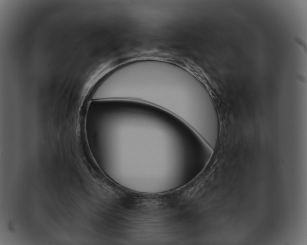 X0000093210344200709261429