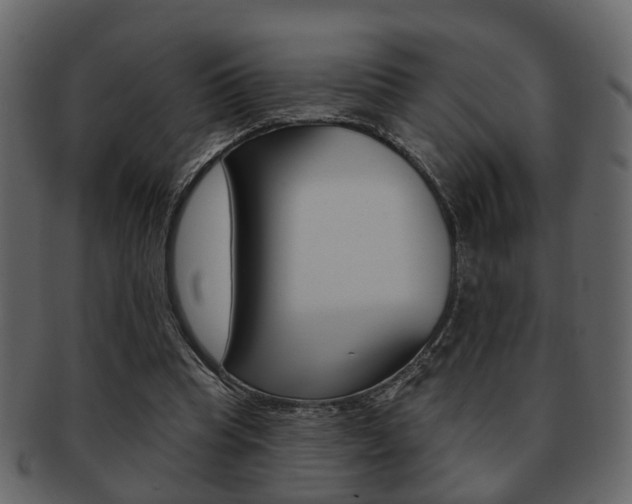 X0000093210345200709261429