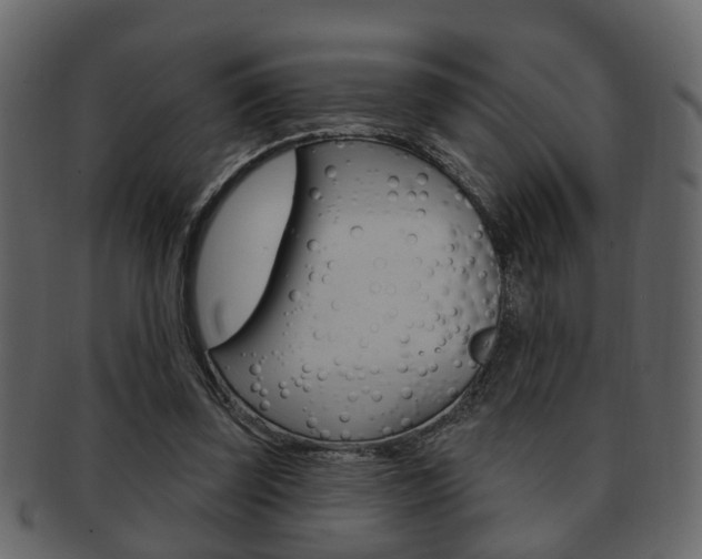 X0000093210347200709261430