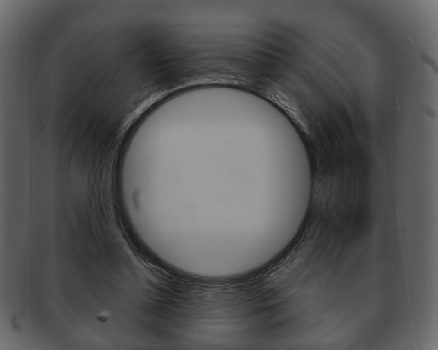 X0000093210348200709261430