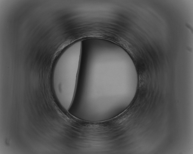 X0000093210349200709261430