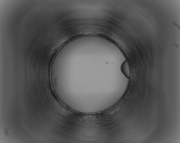 X0000093210353200709261430