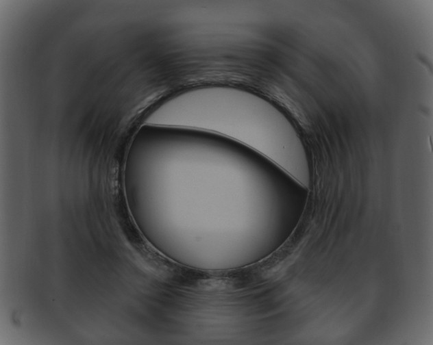X0000093210356200709261430