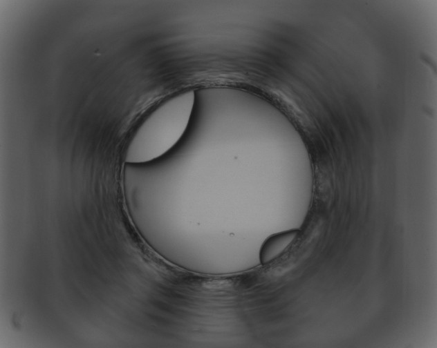 X0000093210357200709261430