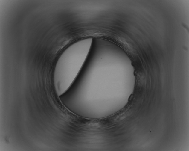 X0000093210358200709261430