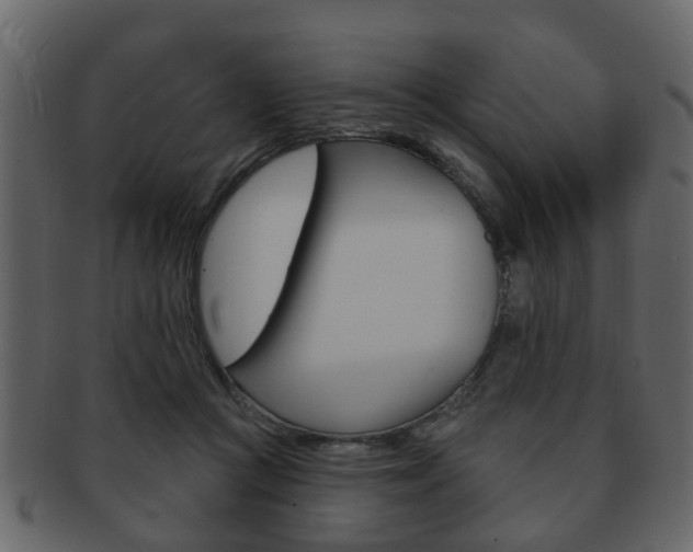 X0000093210361200709261430