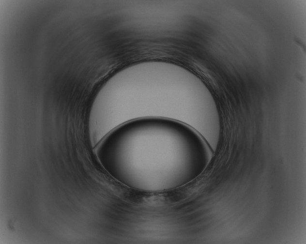 X0000093210362200709261430