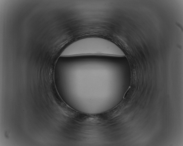 X0000093210364200709261430