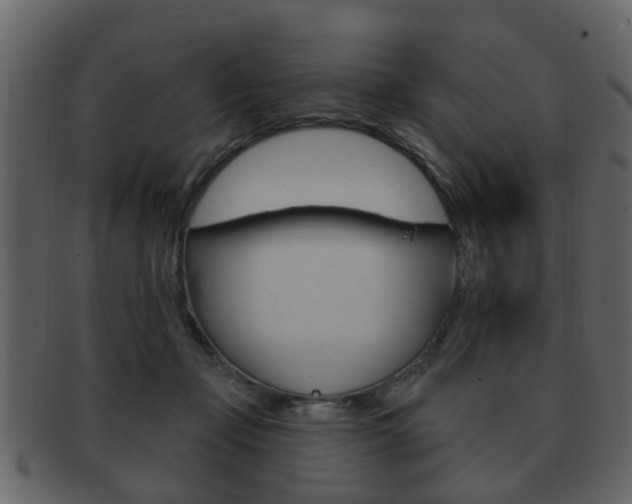 X0000093210365200709261430