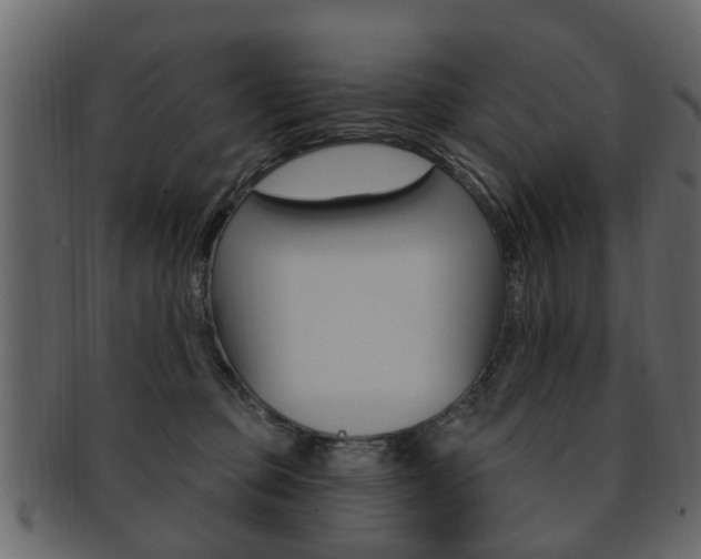 X0000093210373200709261430
