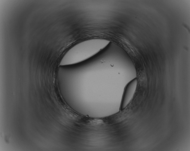 X0000093210374200709261430