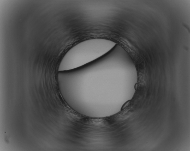 X0000093210377200709261430
