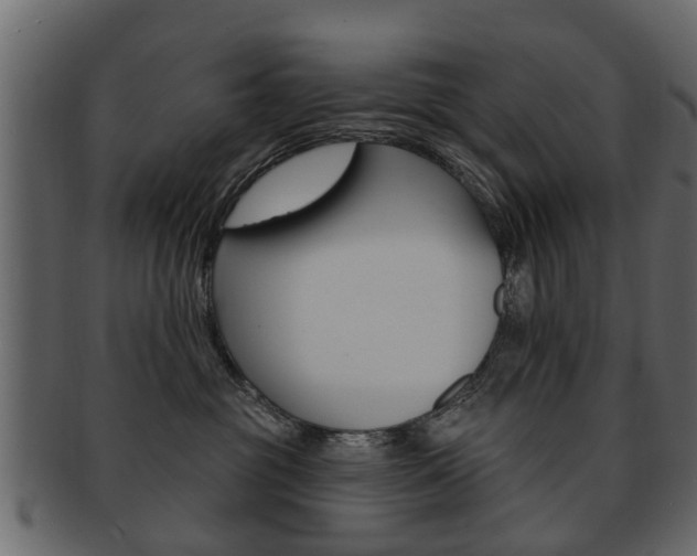 X0000093210381200709261430