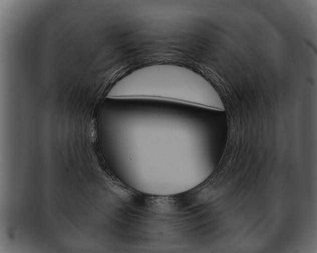 X0000093210383200709261430