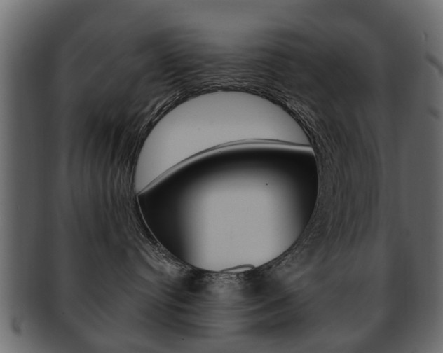 X0000093210384200709261430