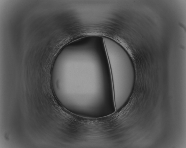 X0000093210385200709261429