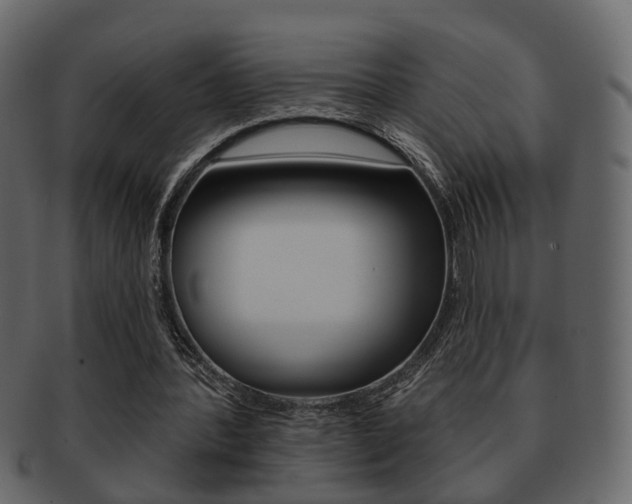 X0000093210388200709261429