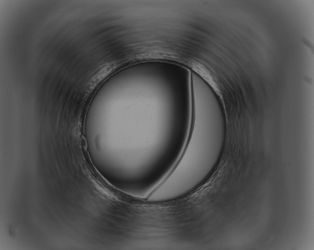 X0000093210389200709261429