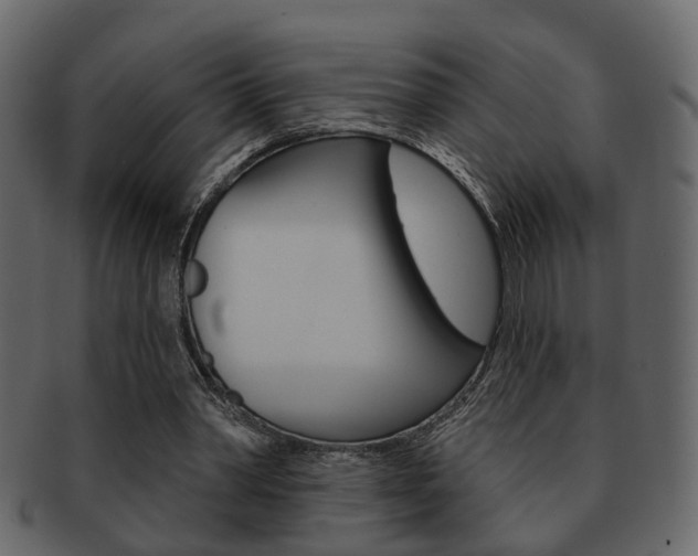 X0000093210390200709261429