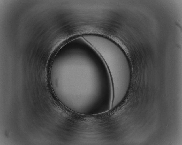 X0000093210391200709261429